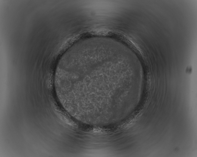 X0000088890641200707061433