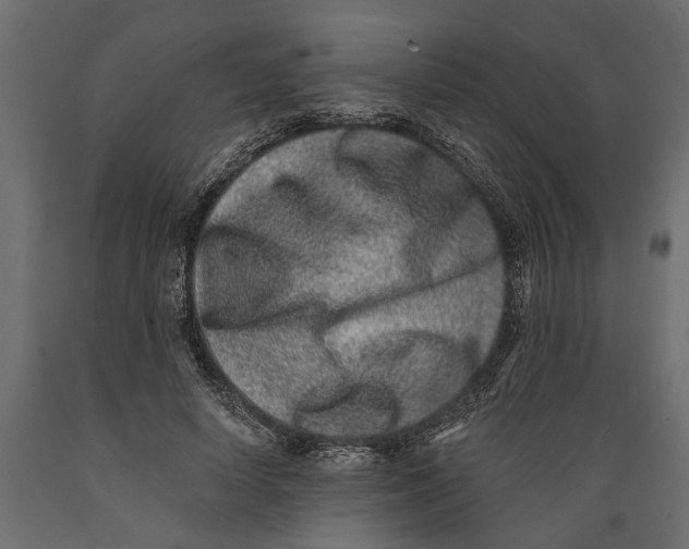 X0000088890642200707061433