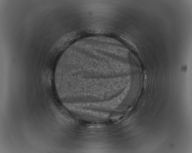 X0000088890643200707061433