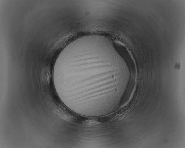 X0000088890644200707061433