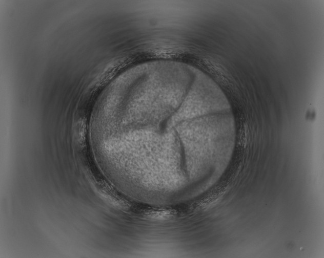 X0000088890646200707061433