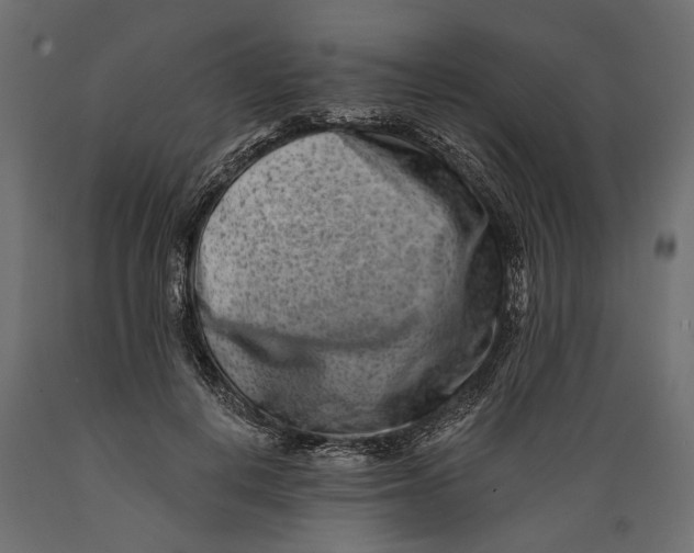 X0000088890648200707061433