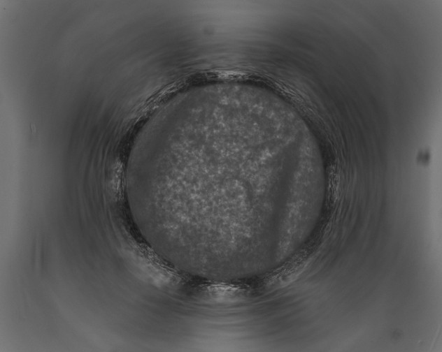 X0000088890650200707061433