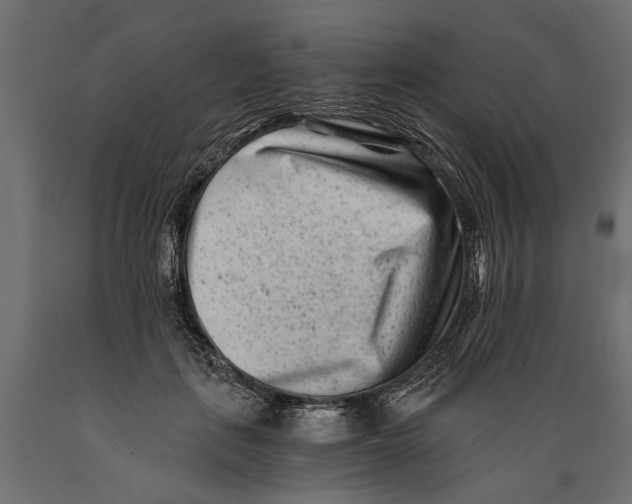 X0000088890651200707061433