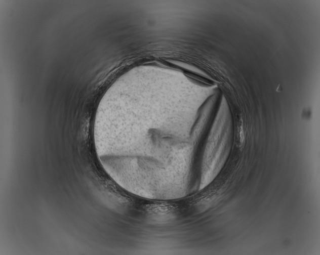 X0000088890652200707061433