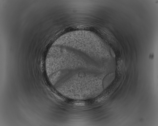 X0000088890653200707061433