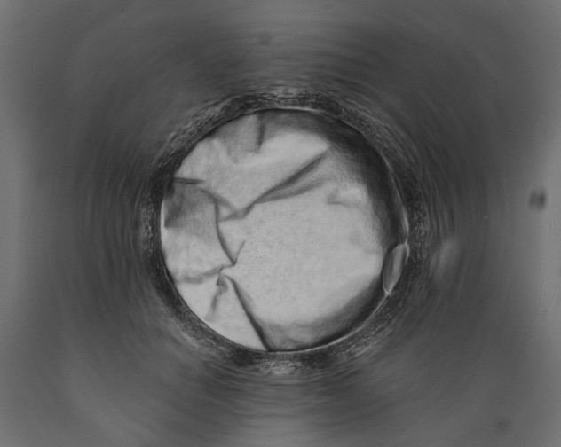X0000088890654200707061433
