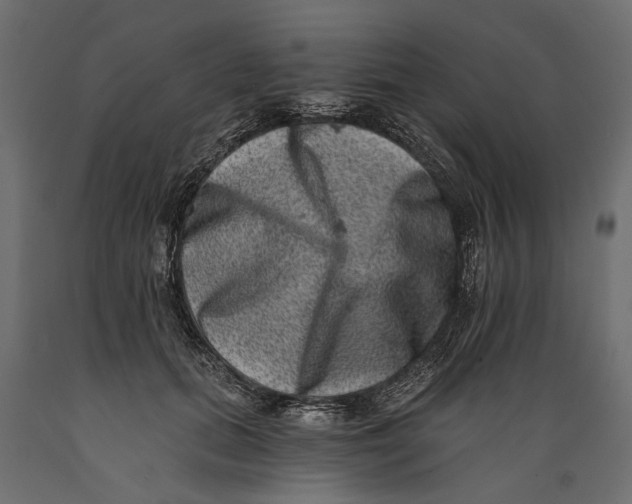 X0000088890655200707061433