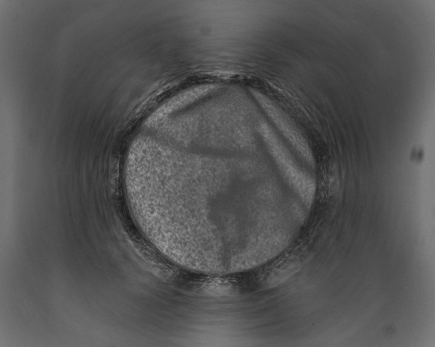 X0000088890656200707061433