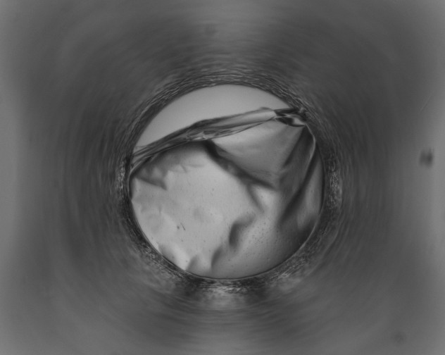 X0000088890657200707061433