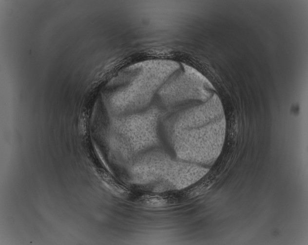 X0000088890658200707061433