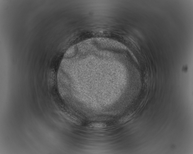 X0000088890659200707061433