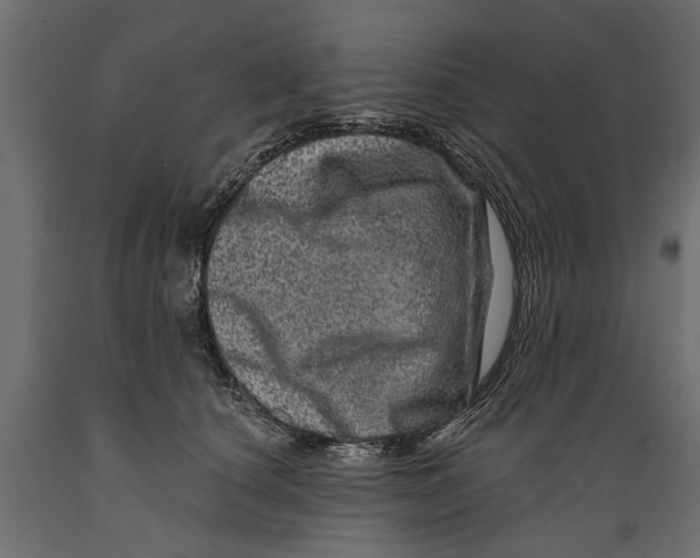 X0000088890660200707061433