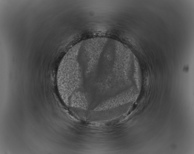 X0000088890661200707061433