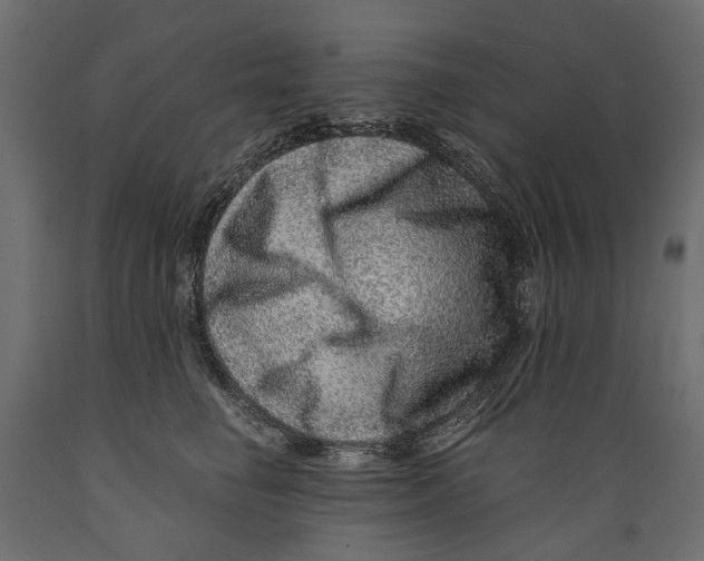 X0000088890662200707061433