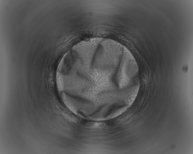 X0000088890663200707061433