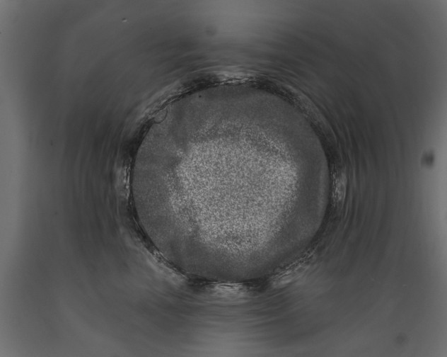 X0000088890666200707061433