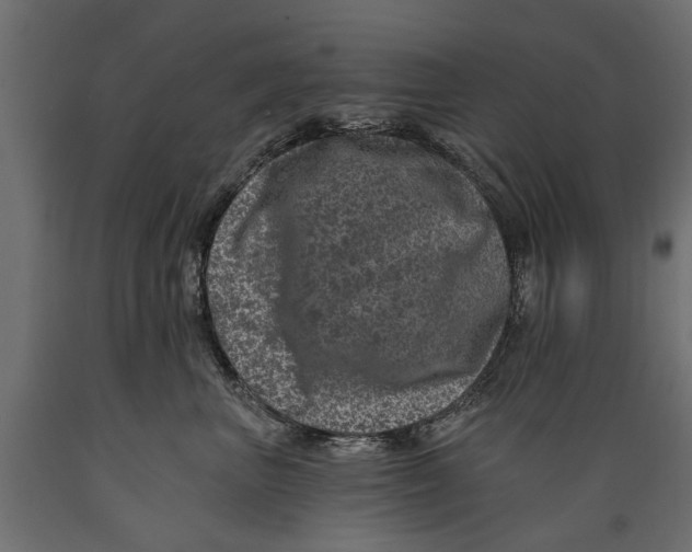 X0000088890667200707061433