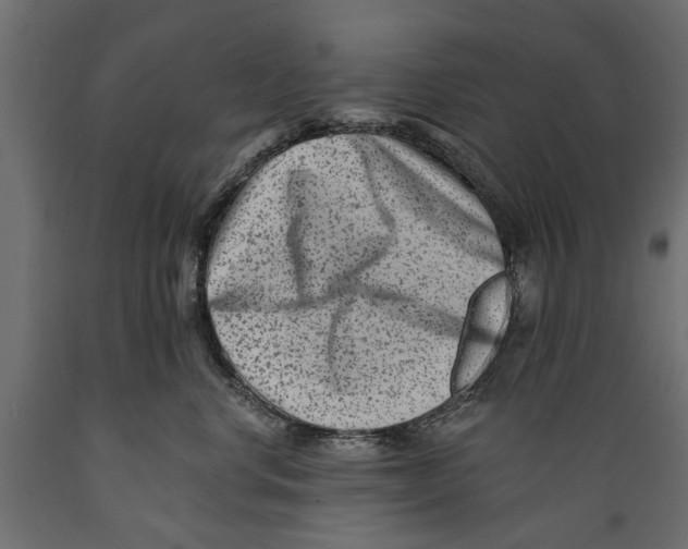 X0000088890668200707061433