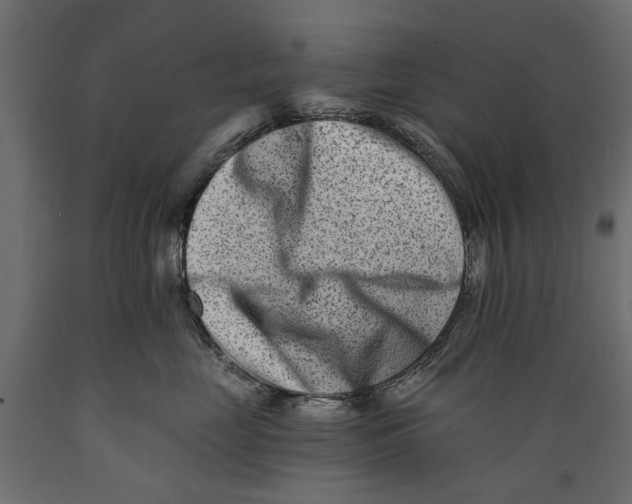 X0000088890669200707061433