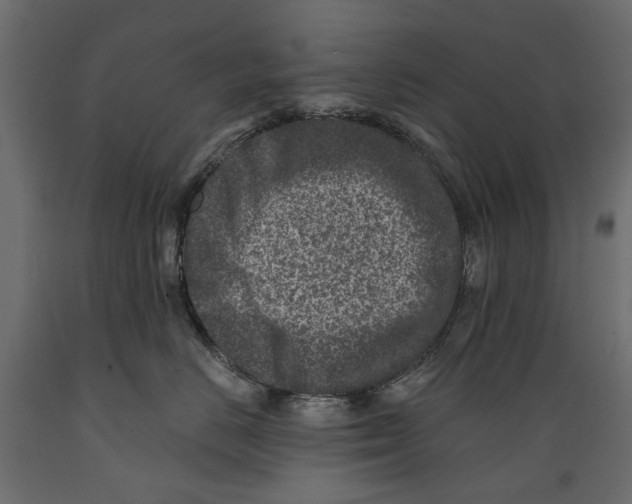 X0000088890670200707061433