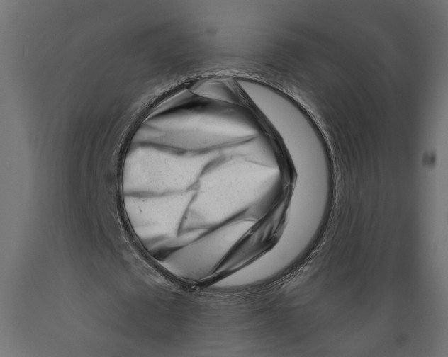 X0000088890673200707061432