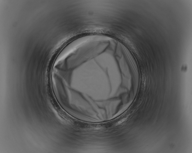 X0000088890674200707061432