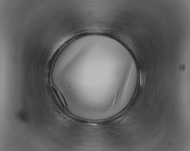 X0000088890675200707061432