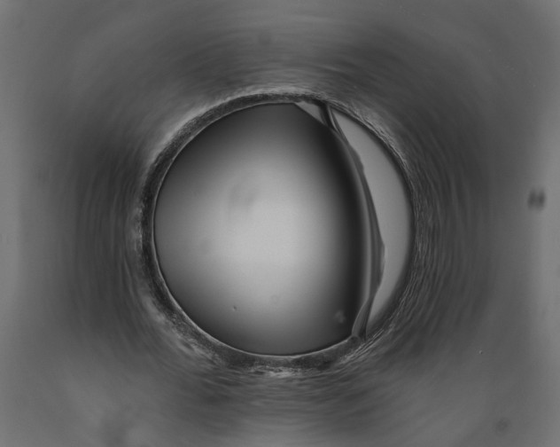 X0000088890676200707061432