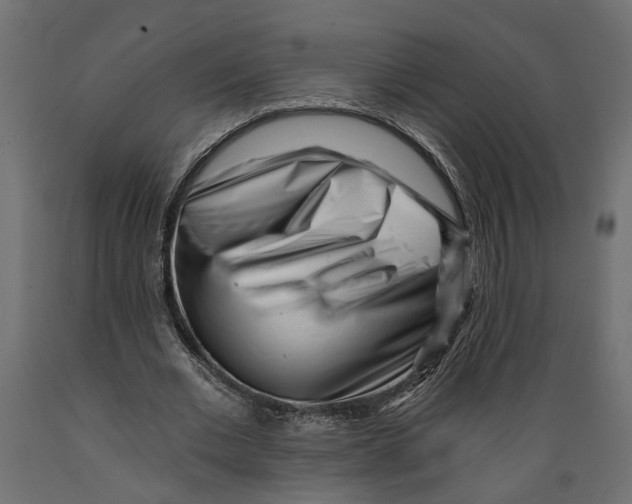 X0000088890677200707061432