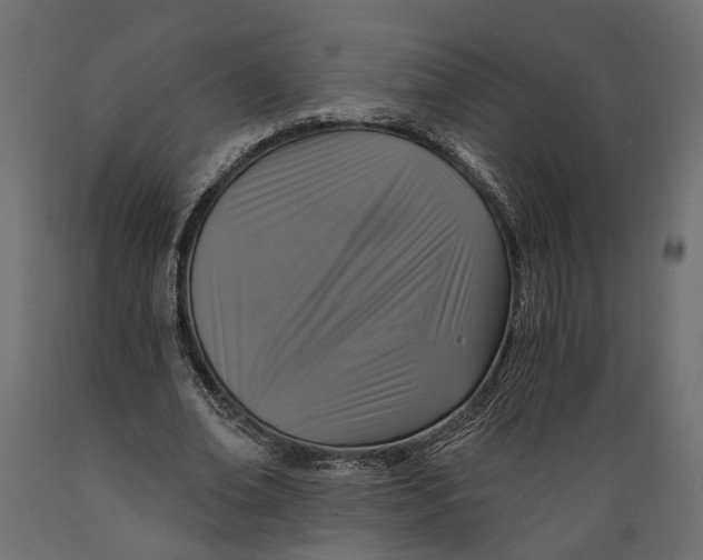 X0000088890678200707061432
