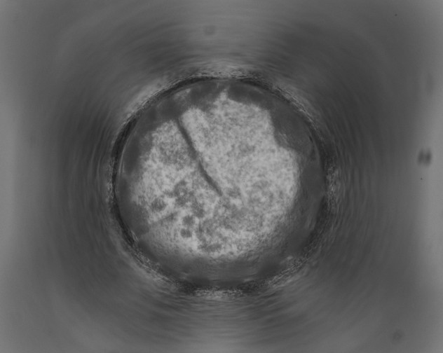 X0000088890679200707061432