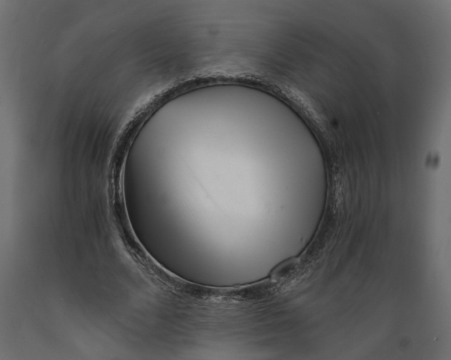 X0000088890680200707061432