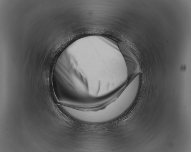 X0000088890681200707061432