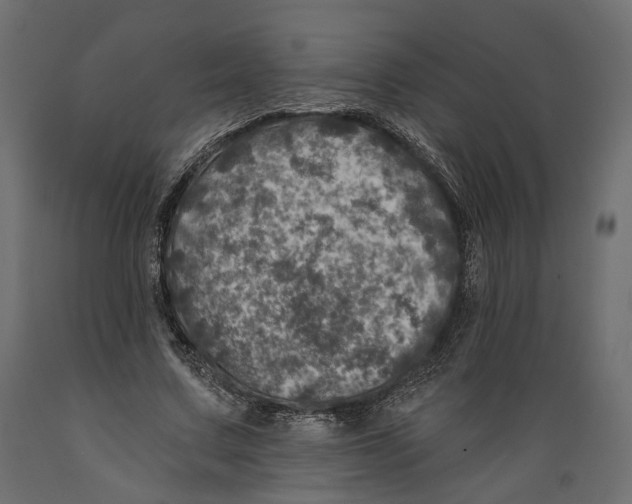 X0000088890683200707061432