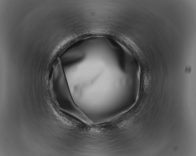X0000088890684200707061432