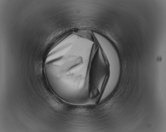 X0000088890685200707061432