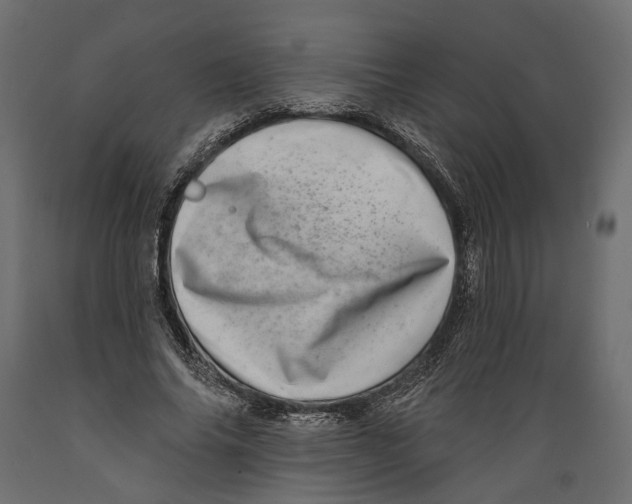 X0000088890686200707061432