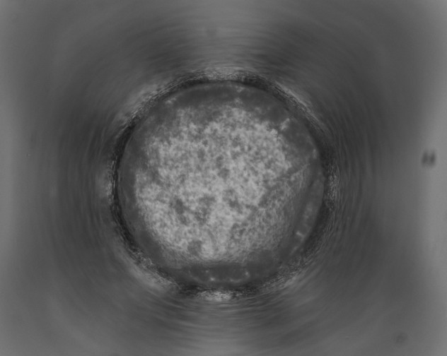 X0000088890687200707061432