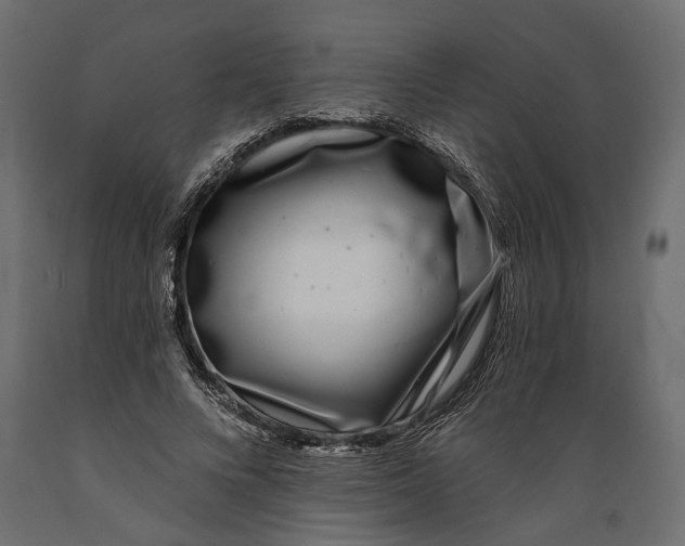 X0000088890688200707061432