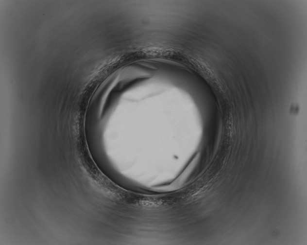 X0000088890690200707061432