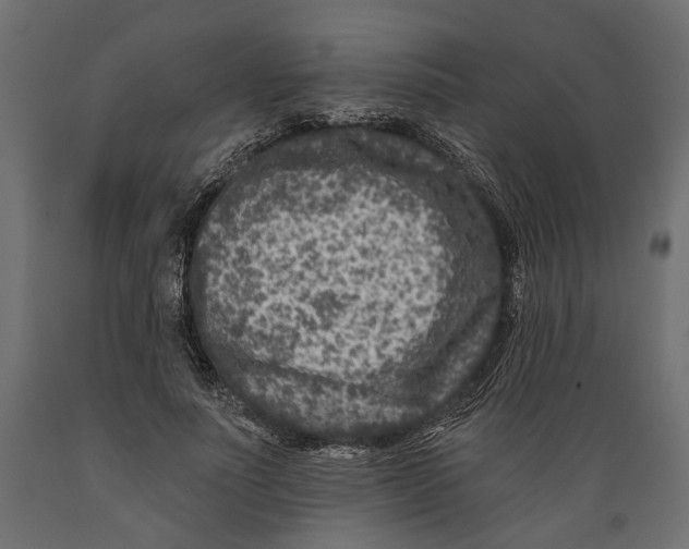 X0000088890691200707061432
