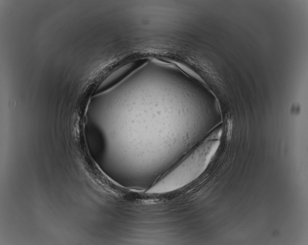 X0000088890692200707061432