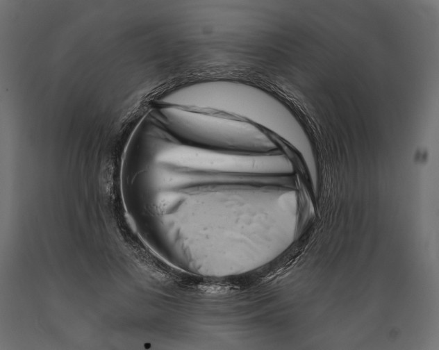 X0000088890693200707061432