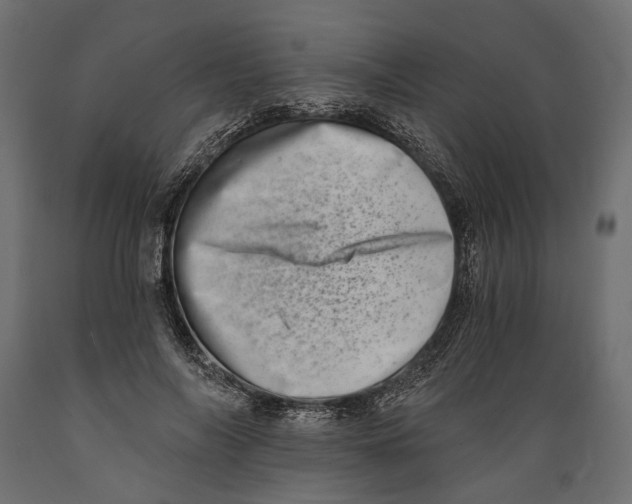 X0000088890694200707061432