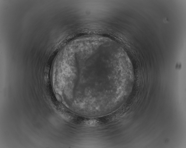 X0000088890695200707061432