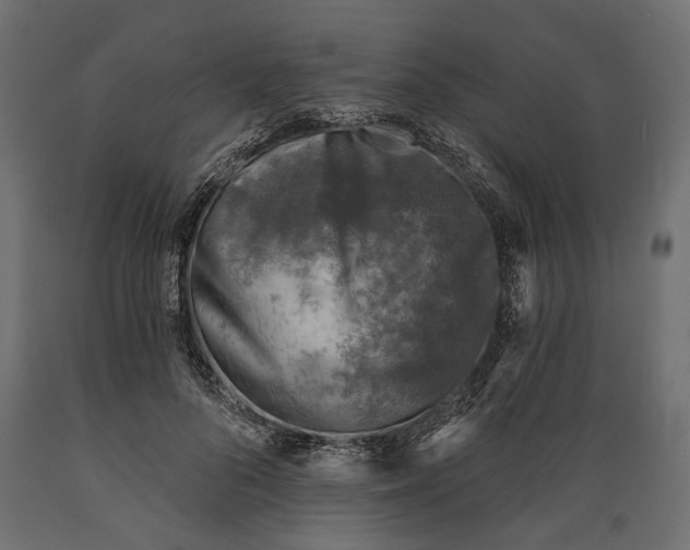 X0000088890696200707061432