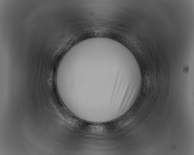 X0000088890698200707061432