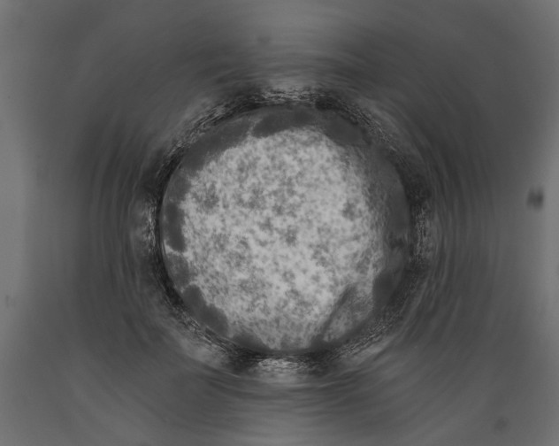 X0000088890699200707061432