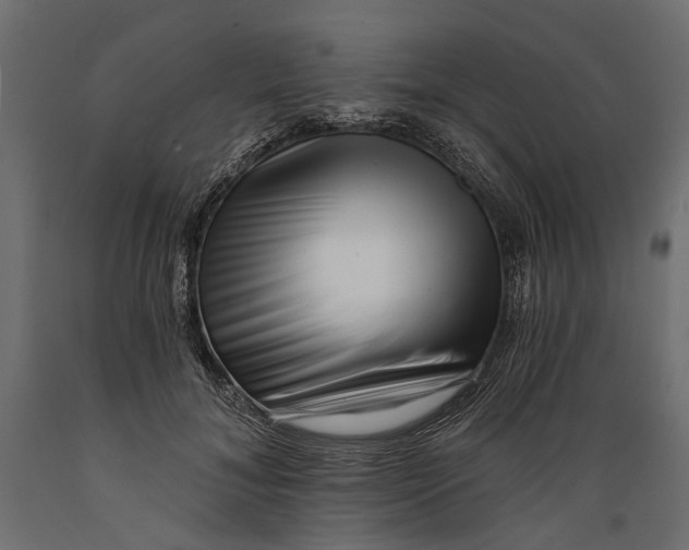 X0000088890700200707061432